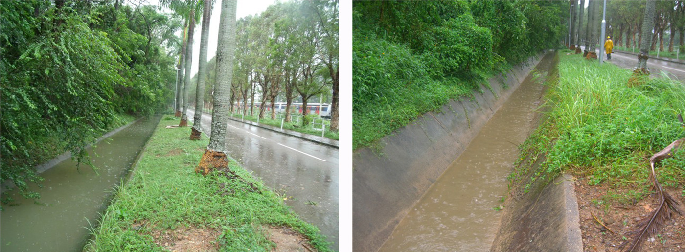 颱風「帕卡」比「天鴿」為香港帶來更多雨量。左右兩圖分別為「帕卡」吹襲時，校園引水道水位上升及成功排水的情形