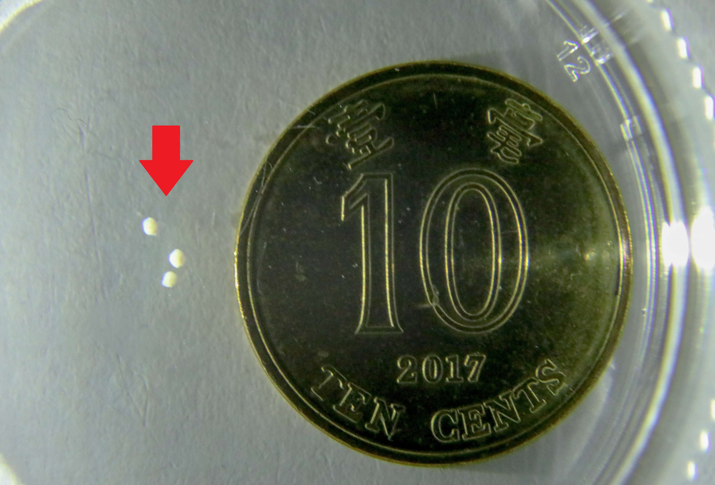 The mini-robots compared (under red arrow) to a 10-cent coin