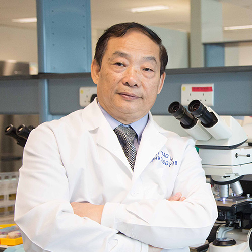 New Hope in Organ Scarring Prevention: CUHK scholar discovered the main pathway and the culprit