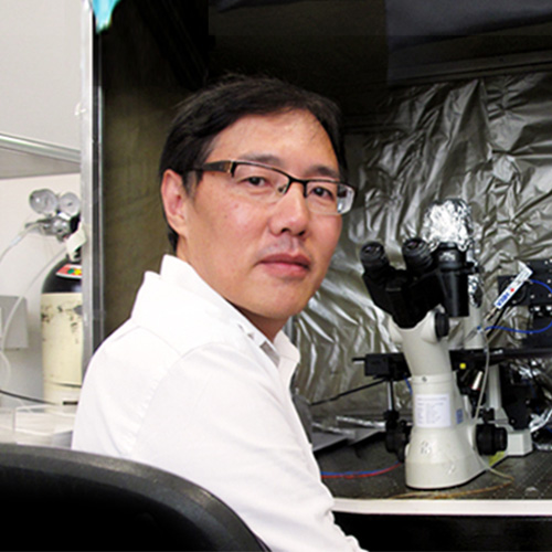 Killing Cancer Cells from the Inside Out: CUHK physiologist takes aim at cancer cell's defence