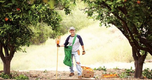Rick Nahmias, founder of Food Forward (Photo by Yuri Hasegawa)