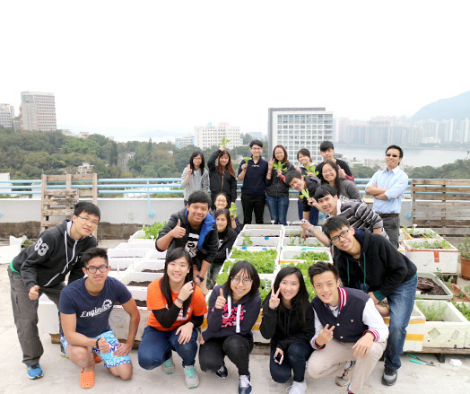 <em>Harvest at the Hui Yeung Shing Building rooftop farm <br>(Source: Office of University General Education)</em>
