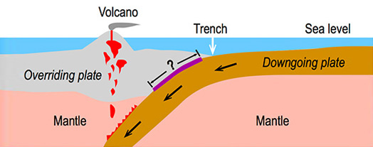 <em>Figure 1: Schematic plot of a subduction zone. The purple line denotes the seismogenic zone where large earthquakes may occur</em>