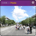 CUHK in Pixels