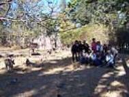 The students visited different places in Queensland after class.