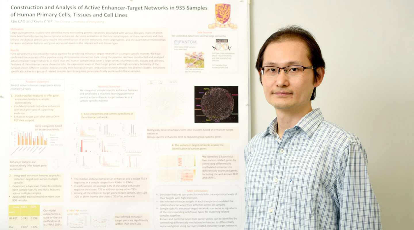 Prof. Kevin Yip studies gene enhancers in DNA in human cell and tissue samples, to explain the consequences of mutations in enhancers