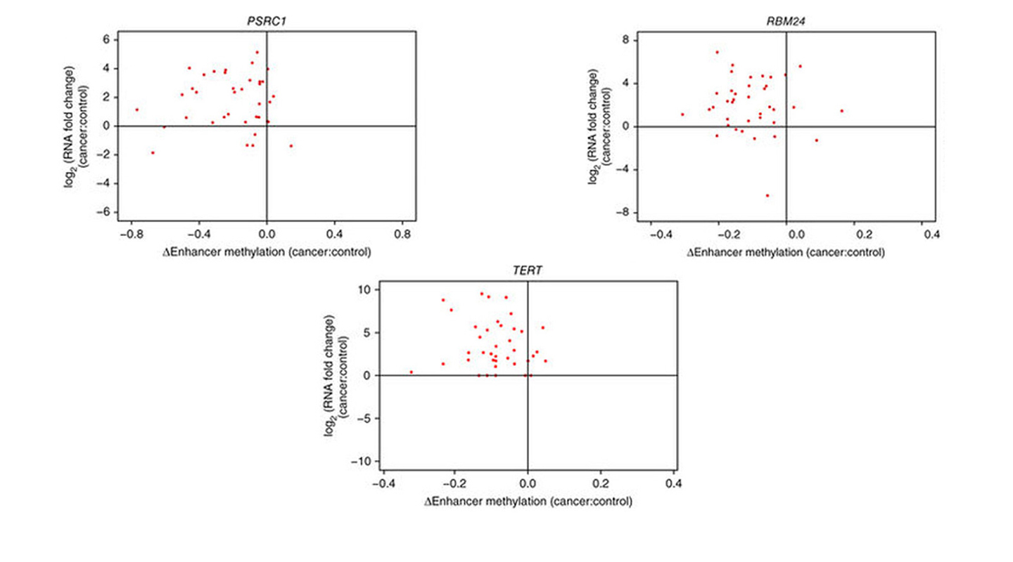 Professor Yip identifies three genes – PSRC1, RBM24 and TERT – that become hyperactive in that cancer due to a ‘perturbation’ or disturbance by different gene enhancers <em>(Source: Nature Genetics)</em>