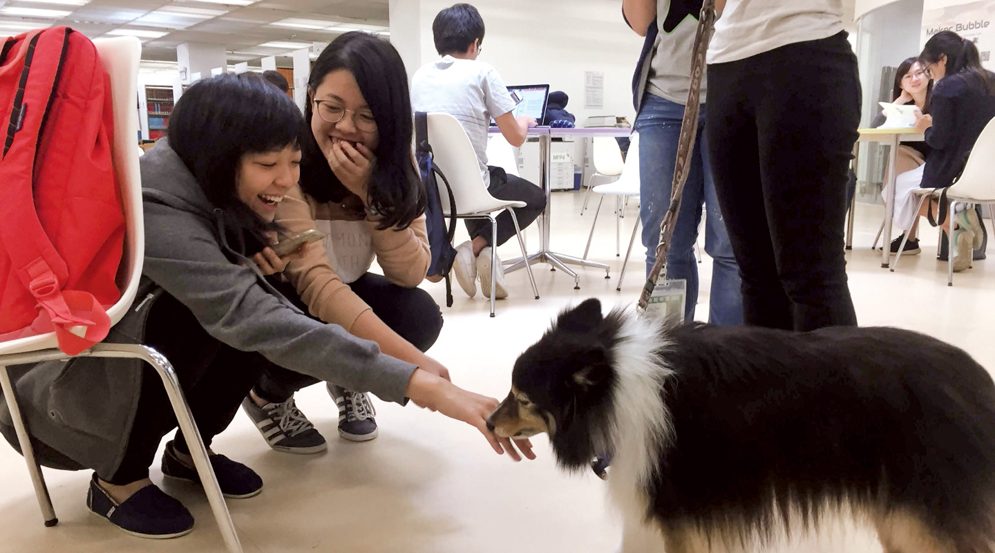 「狗醫生」在考試季為學生打氣