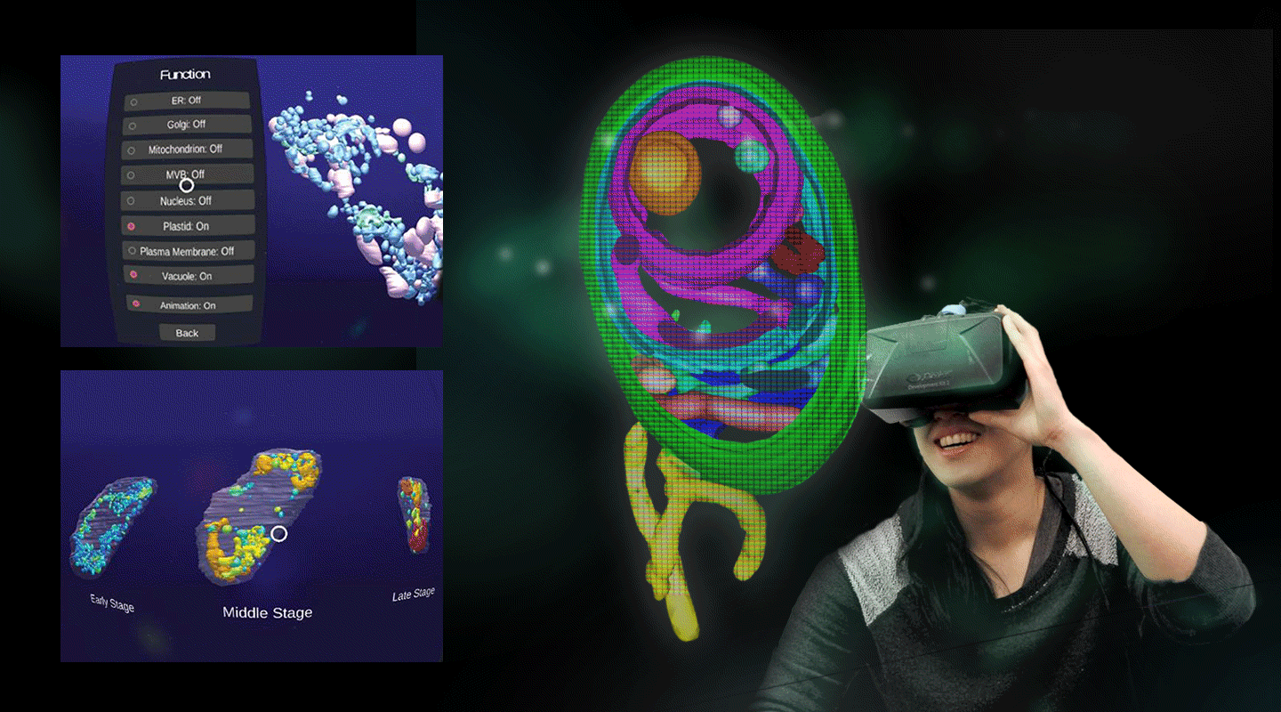 Mobile App showing plant organelles in virtual reality