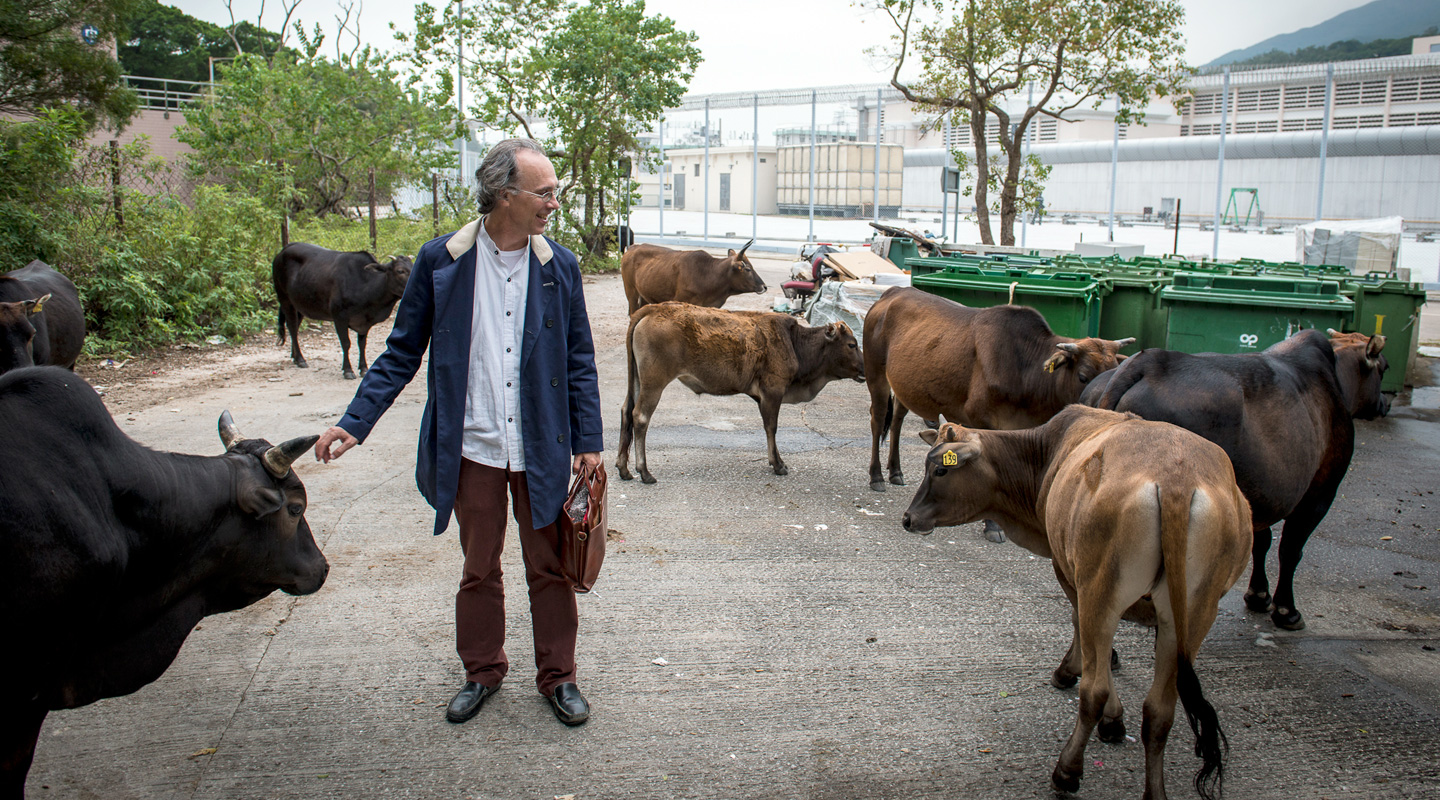 In front of Shek Pik Prison. The cattle there recognizes the veteran prison chaplain