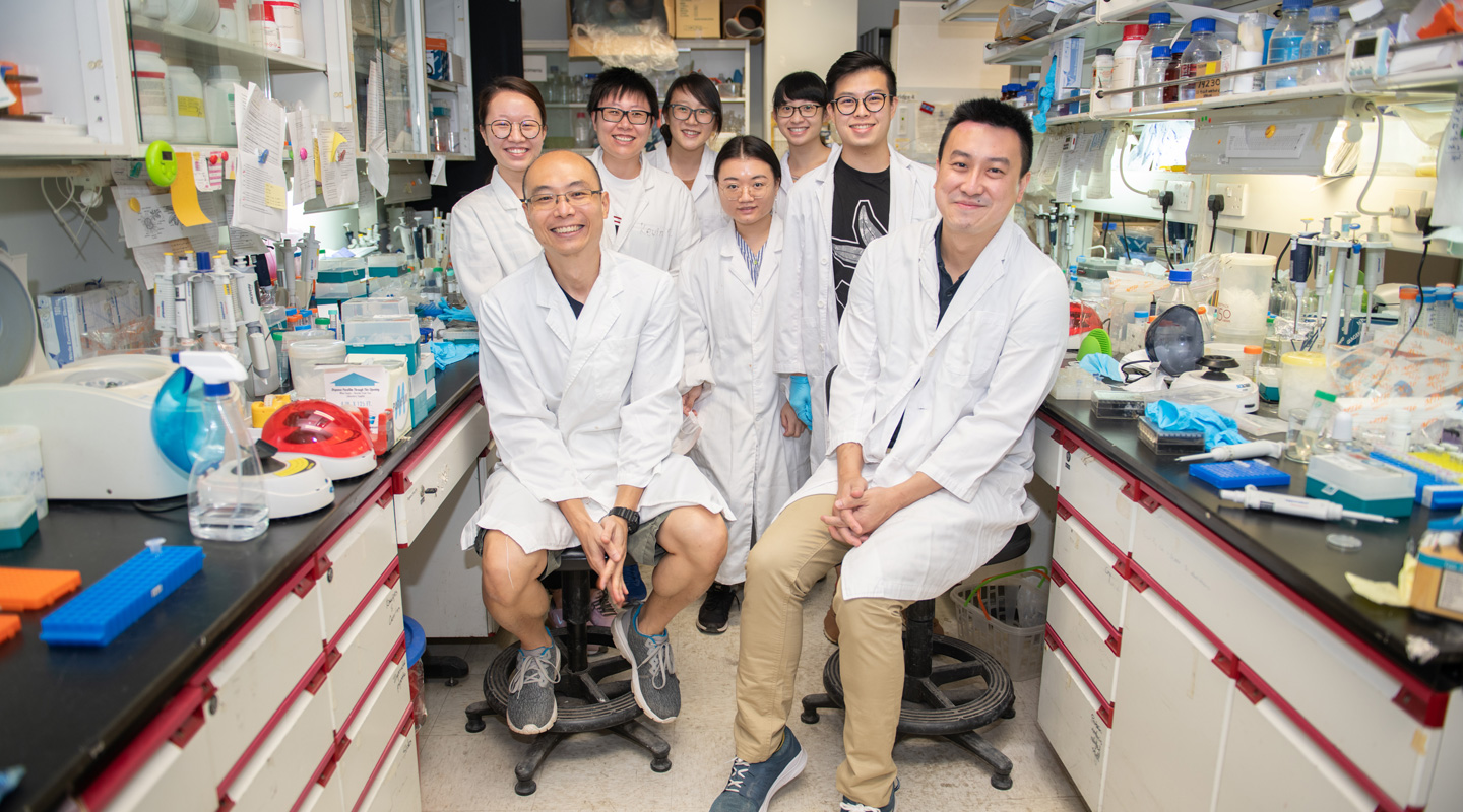 Professor Hui and his team. From left: Elaine Huang, Yip Ho-yin, Qu Zhe, Kay Chong, Fanny Li, Ivy Lee, Henry So, Professor Hui