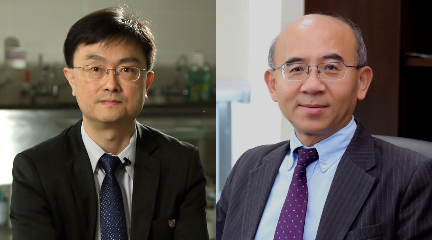 Prof. Chan Sun-on <em>(left)</em>, Prof. Fan Xitao