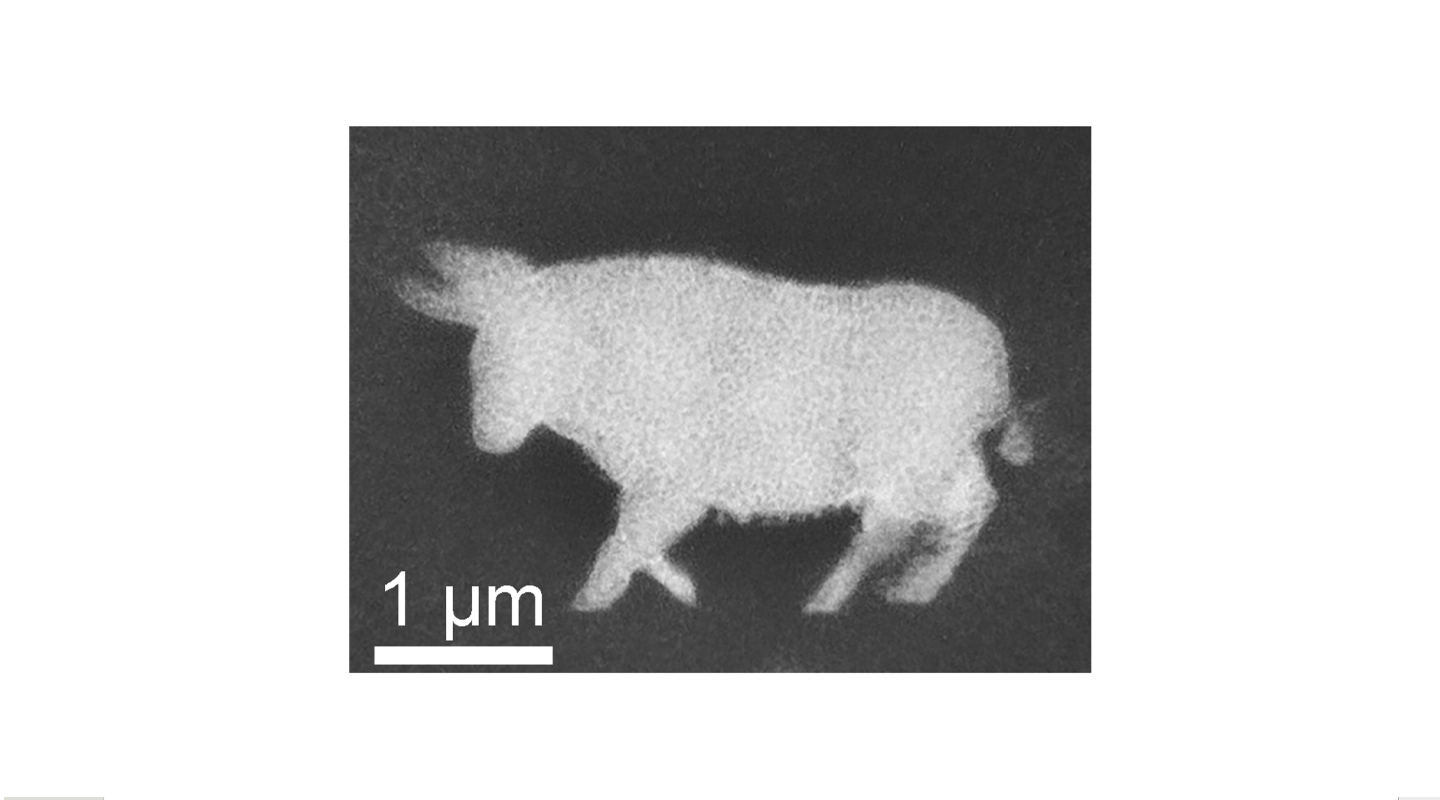 以FP-TPL系統打印出來的銀納米牛，以慶牛年。圖中白線代表一微米，即一毫米的千分之一