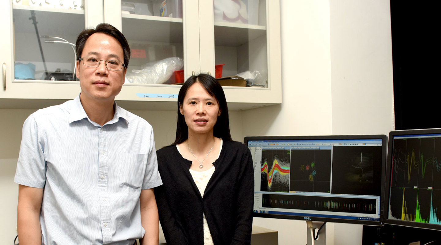 Prof. Yung Wing-ho <em>(left)</em> and colleague from the School of Biomedical Science Prof. Ke Ya <em>(photo by ISO staff)</em>