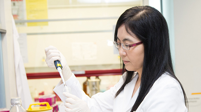 Performing miRNA isolation from the stool samples