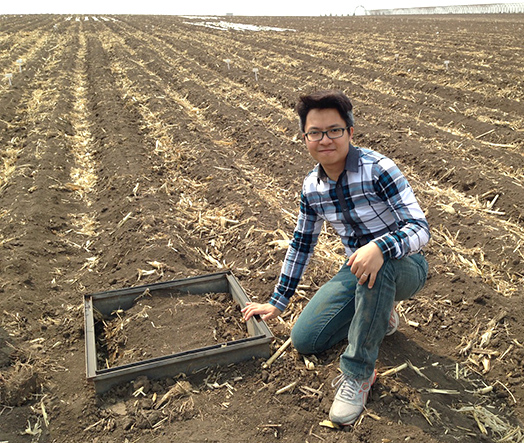 <em>On an experimental field in Sichuan, Professor Amos P. K. Tai investigates how sustainable farming methods may be used to reduce air pollution</em>