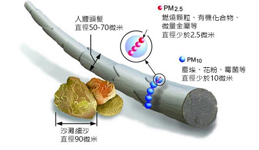 <em>圖一：懸浮粒子的大小 （來源：US EPA）</em>