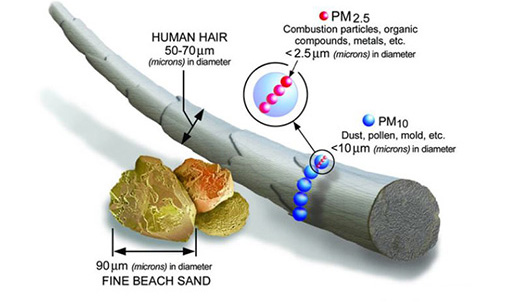 <em>Figure 1: The size of particulate matter (PM) (source: US EPA)</em>