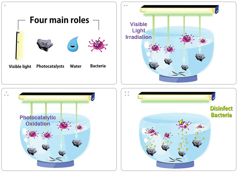 <em>Figure 1: Photocatalytic disinfection by natural magnetic minerals (photocatalysts)</em>