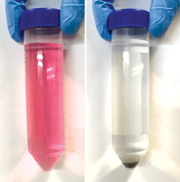 <em>Figure 3: Dyed water before and after degradation treatment</em>
